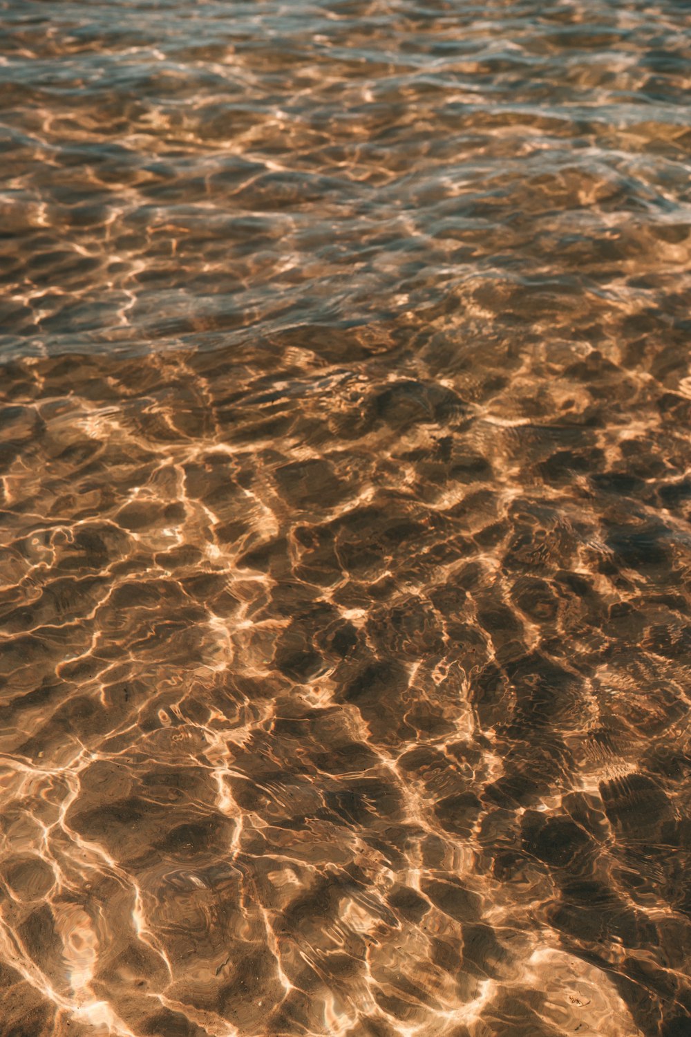 昼間のビーチの茶色の砂の写真 Unsplashで見つけるテクスチャの無料写真