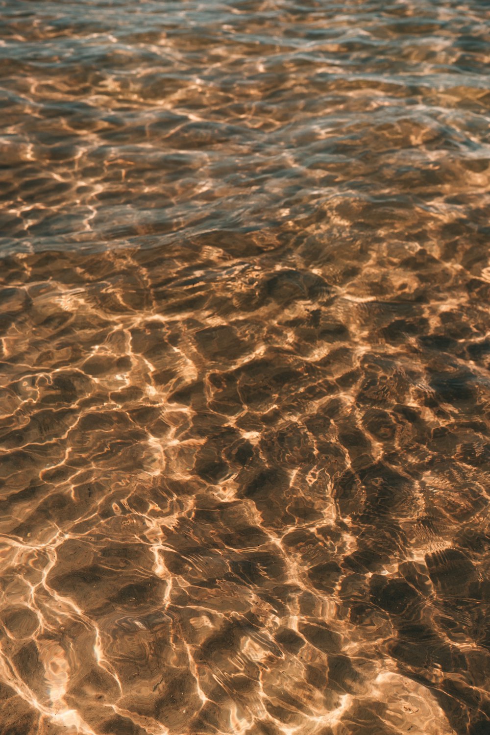 brown sand on beach during daytime