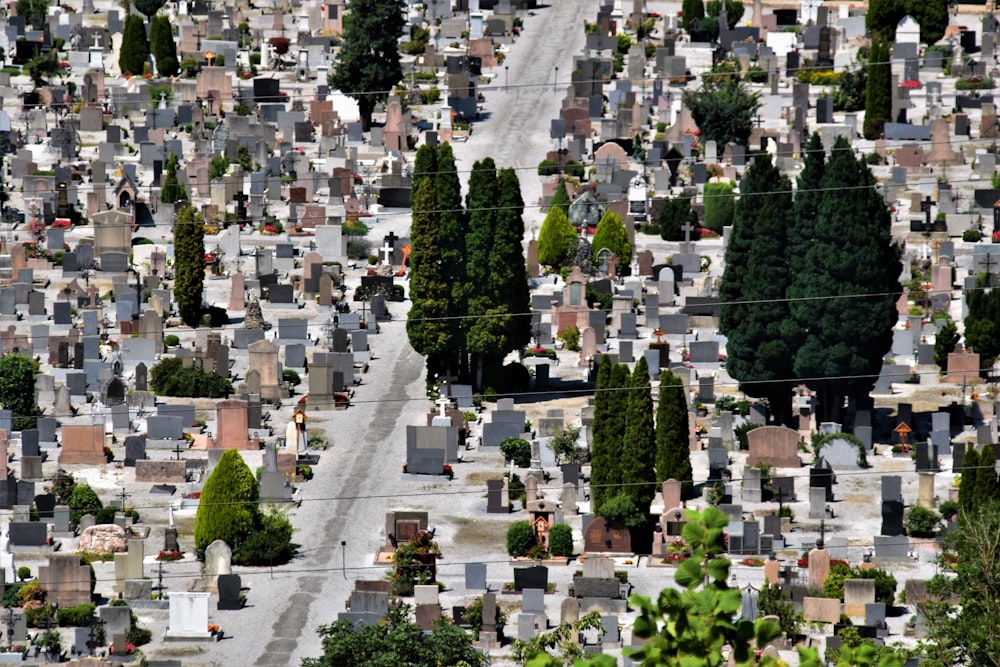 aerial view of green trees and white buildings during daytime