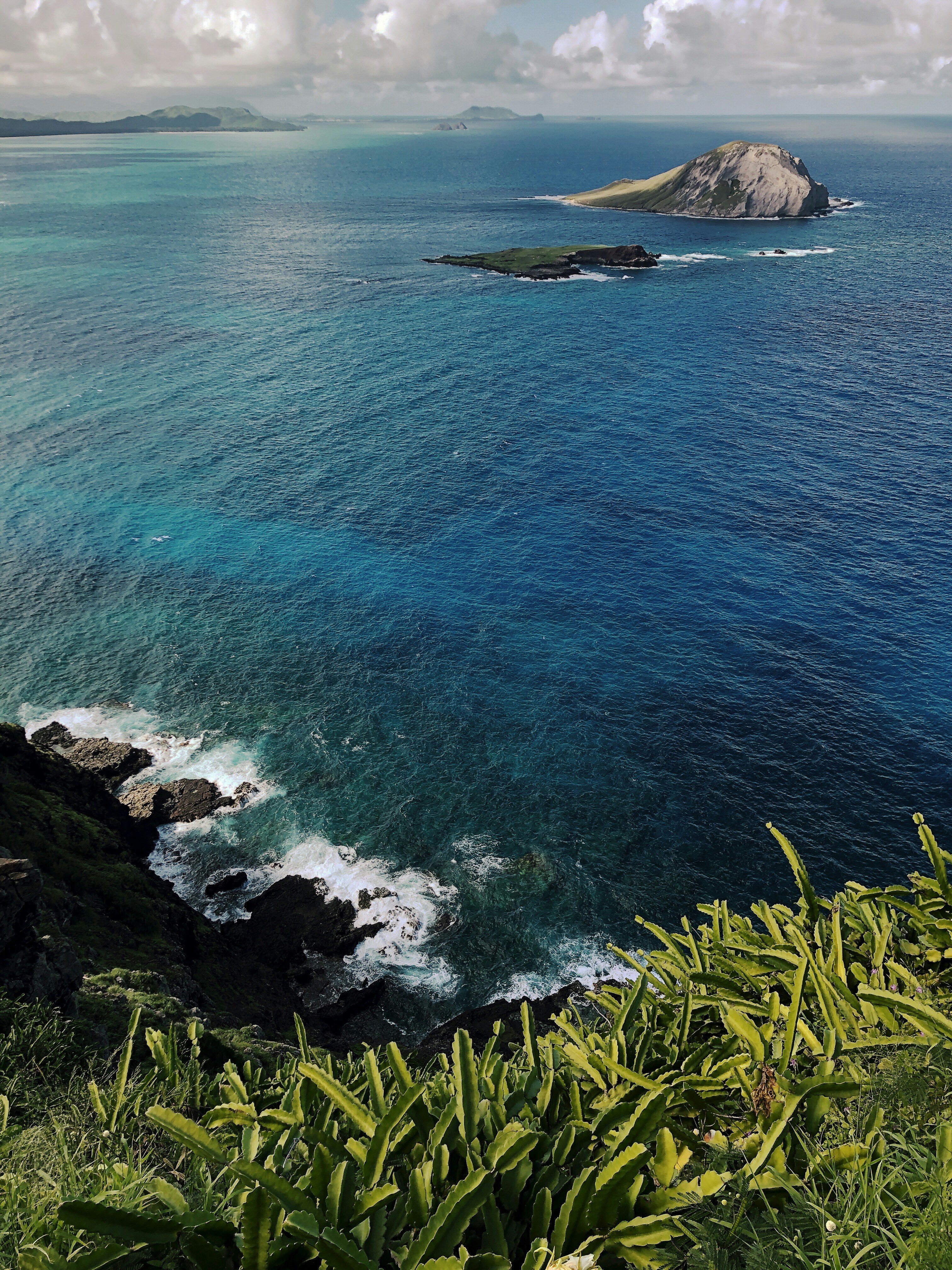 green grass on rocky mountain beside blue sea during daytime