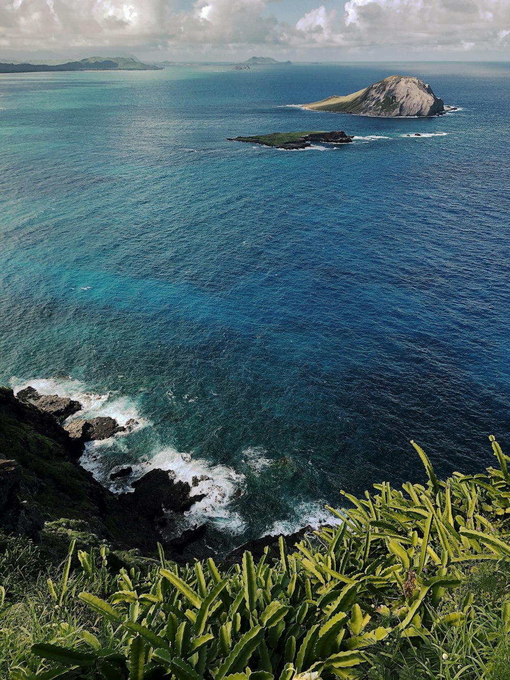 green grass on rocky mountain beside blue sea during daytime