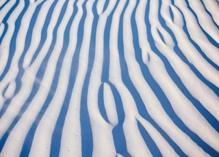 white sand with shadow of tree during daytime