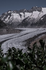 Snow-covered mountains tower in the background, with rugged peaks and patches of exposed rock. In the foreground, a large, winding glacier moves through the valley, its ice contrasting with the surrounding dark rock. Green foliage is visible in the lower part of the image, adding a touch of life to the otherwise stark landscape.