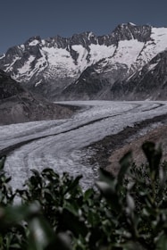 Snow-covered mountains tower in the background, with rugged peaks and patches of exposed rock. In the foreground, a large, winding glacier moves through the valley, its ice contrasting with the surrounding dark rock. Green foliage is visible in the lower part of the image, adding a touch of life to the otherwise stark landscape.