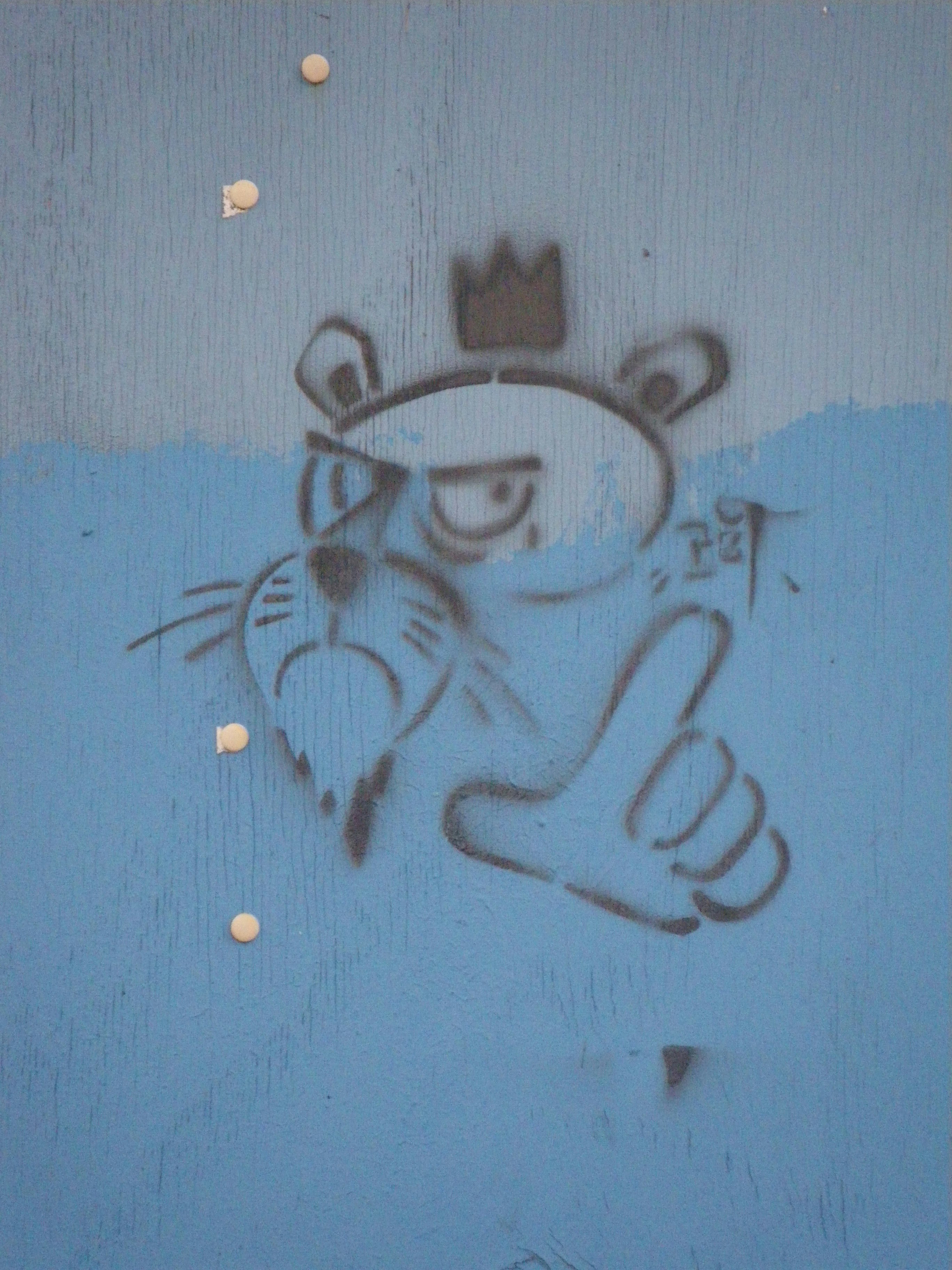 muro bianco e blu con graffiti