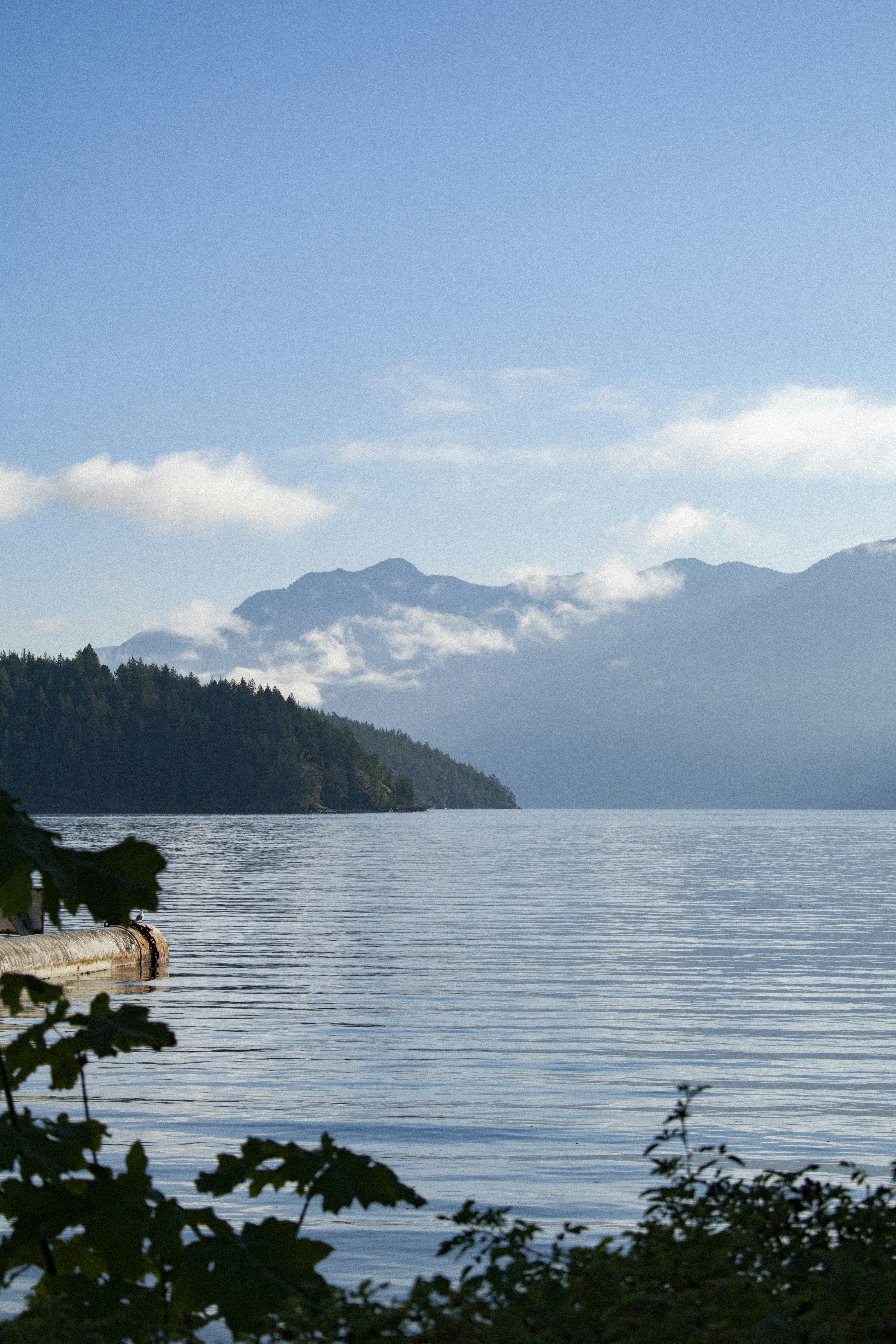 Photo by nicoletarasuk