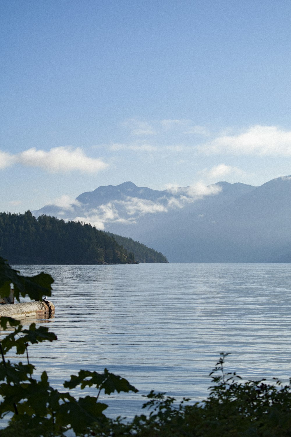 body of water near green trees during daytime