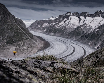 person in yellow jacket walking on road near snow covered mountain during daytime