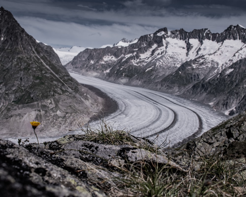 person in yellow jacket walking on road near snow covered mountain during daytime