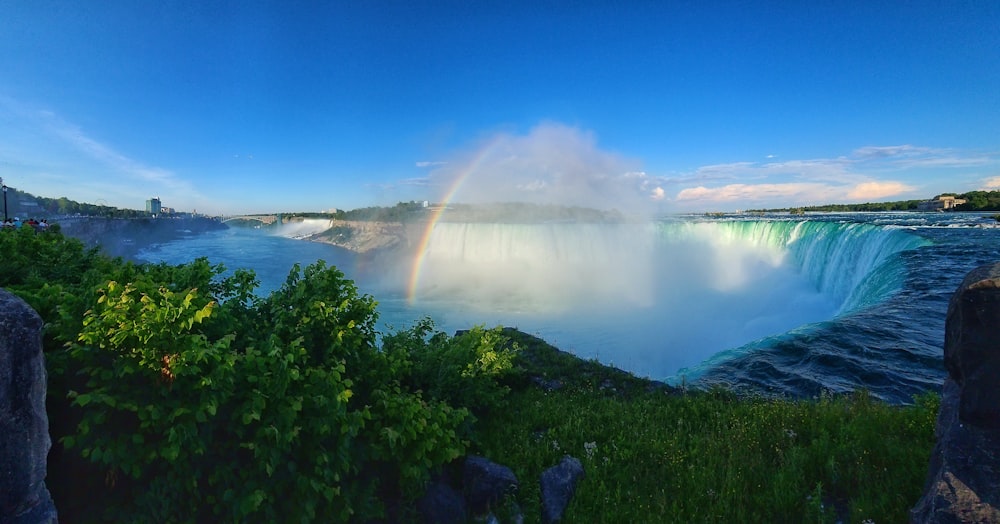 herbe verte près du plan d’eau sous ciel bleu pendant la journée