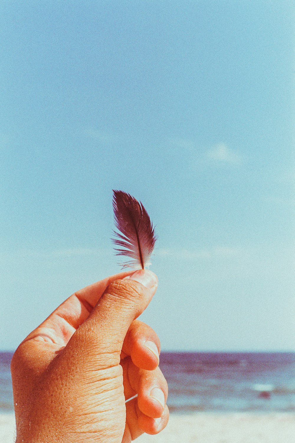 person holding black feather under blue sky during daytime