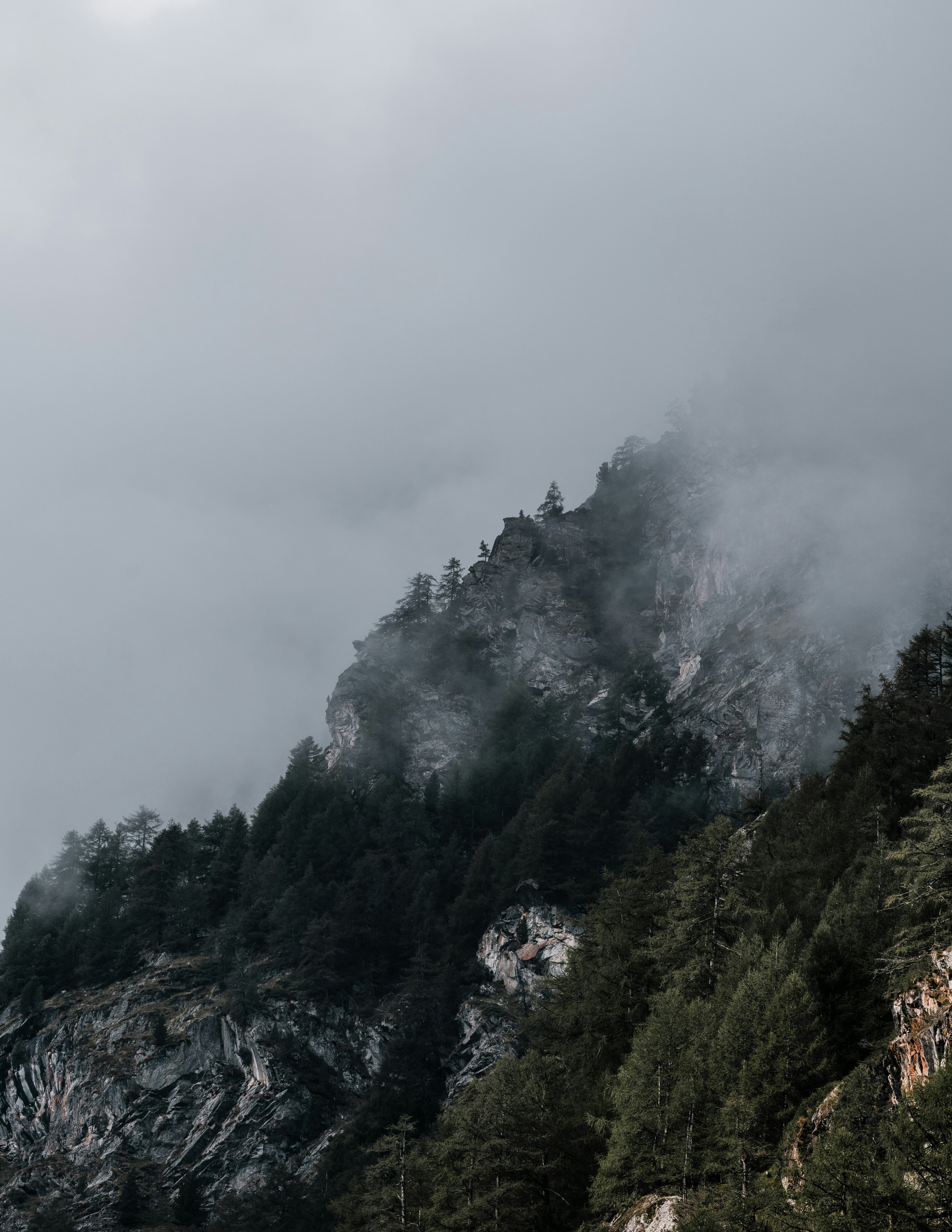 Photo by xandrovandewalle