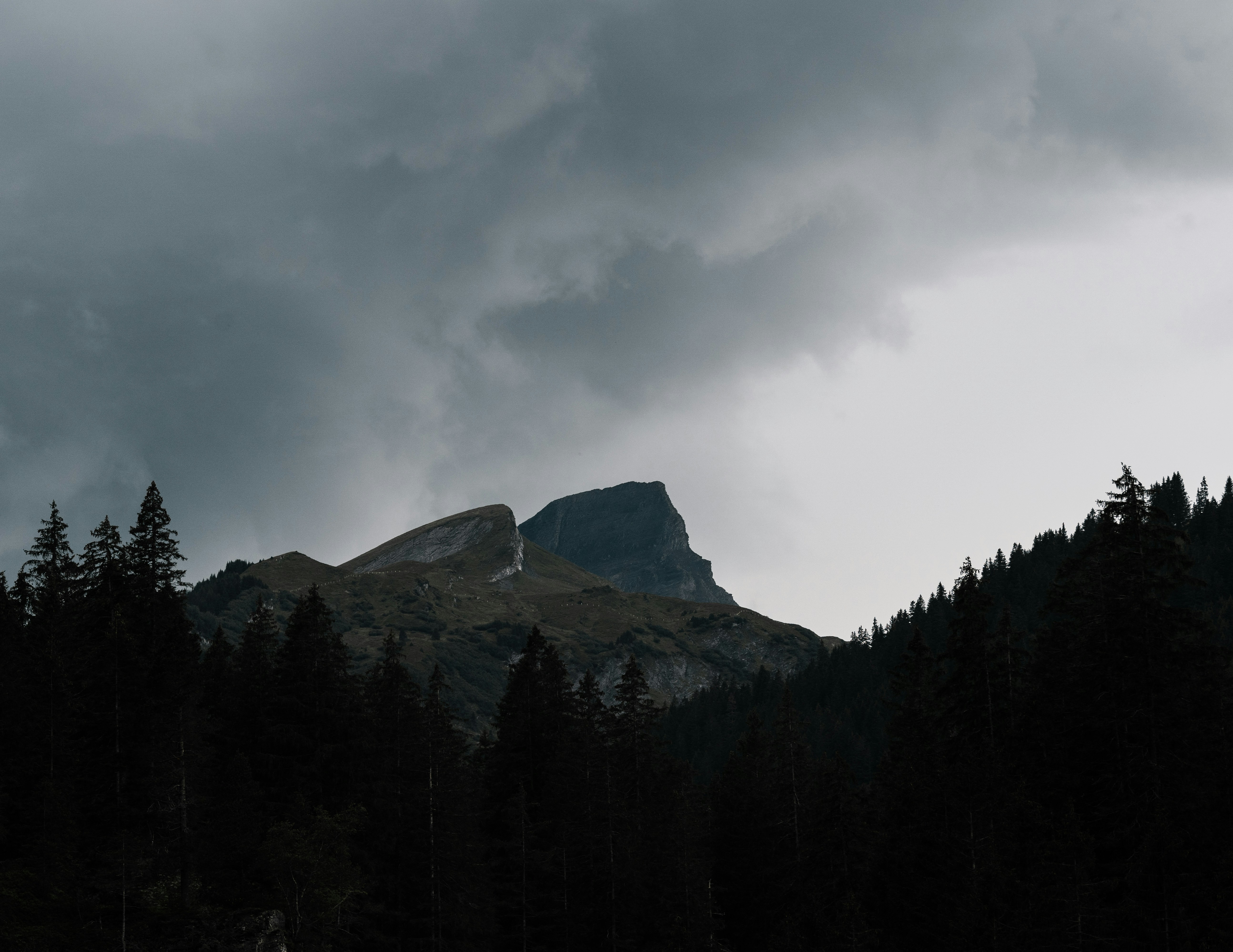 Photo by xandrovandewalle