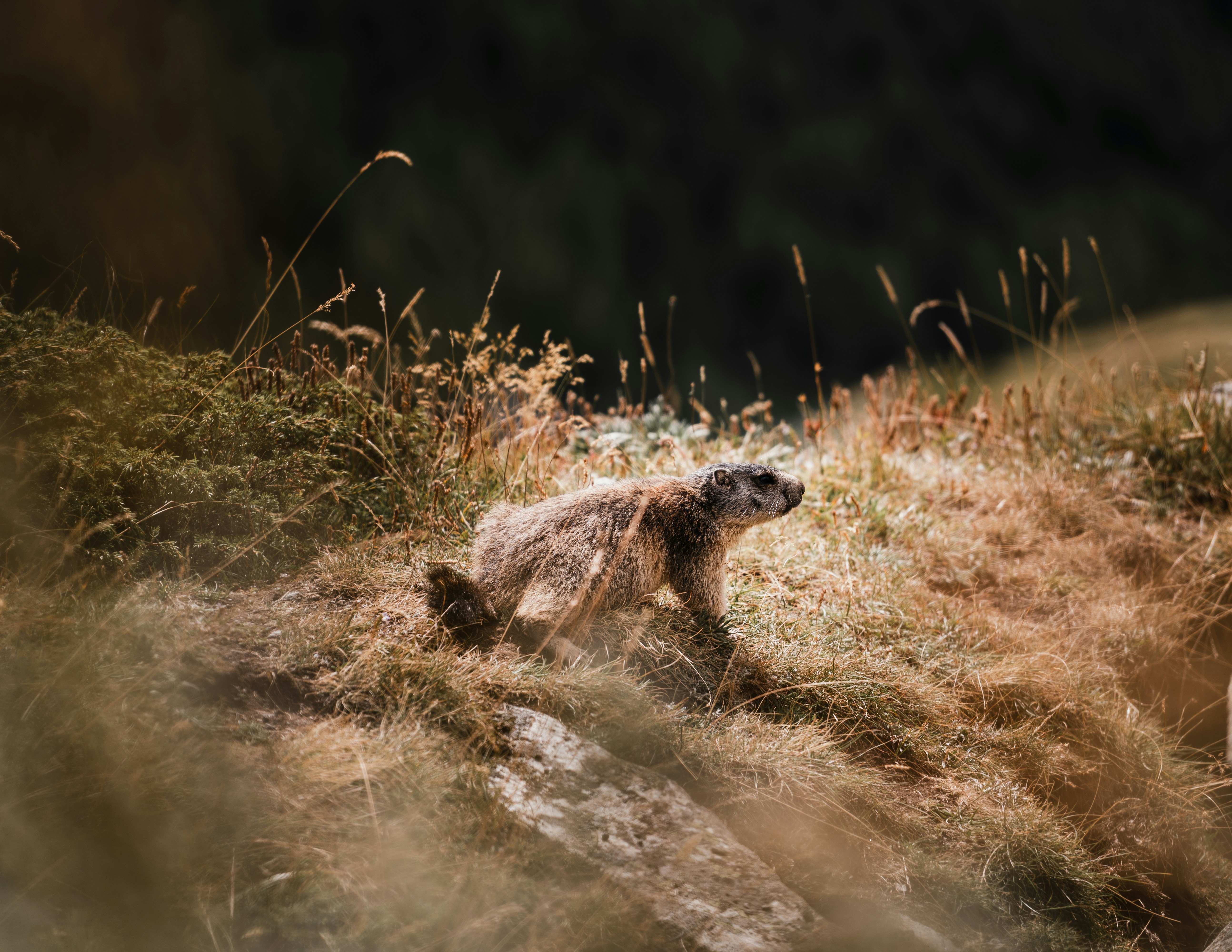 Photo by xandrovandewalle