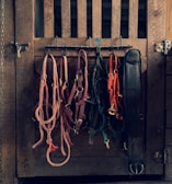 Rows of colorful bridles and reins hanging neatly in a stable.