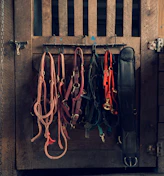 Close-up of high-quality horse bridles hanging neatly in a stable