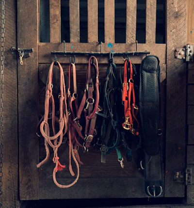 A variety of dog collars and leashes hanging neatly on a rustic wooden rack.