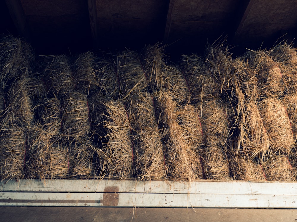 brown hay in brown wooden cage