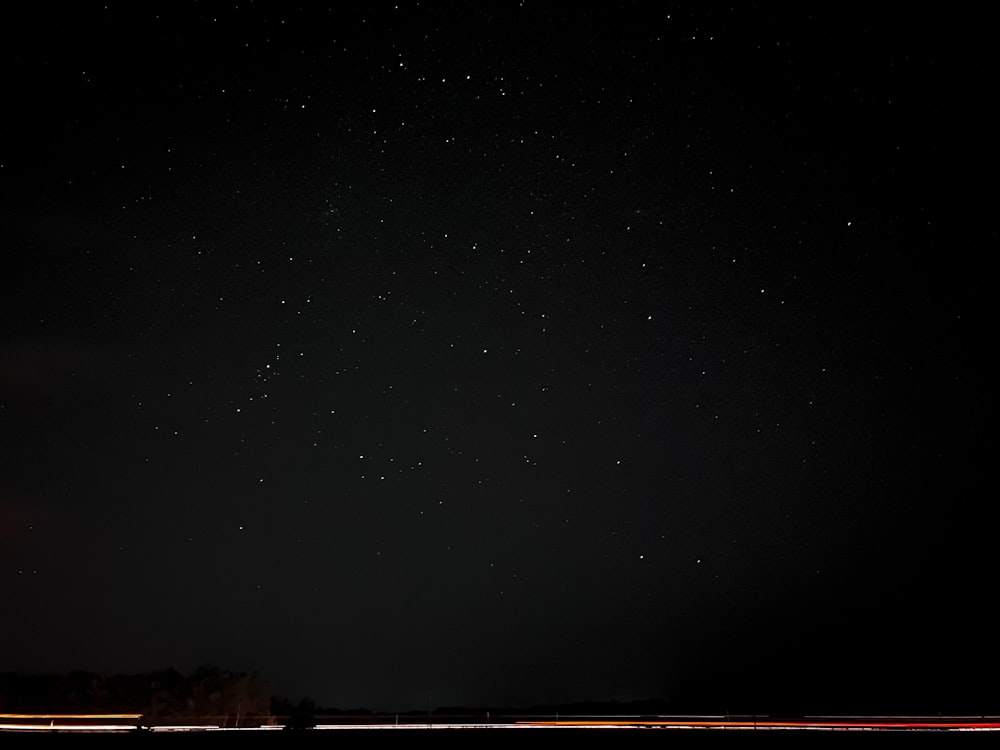 brown trees under starry night