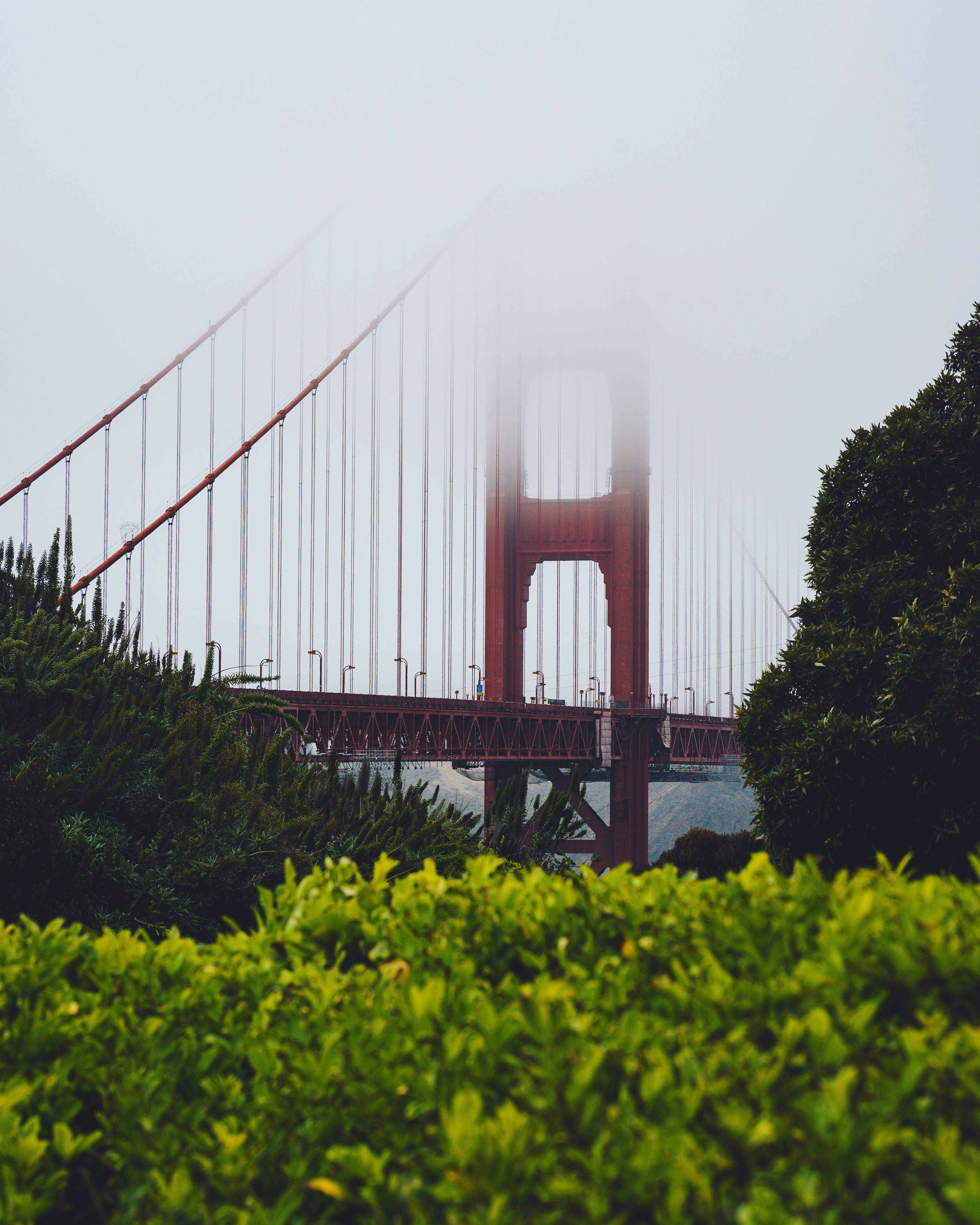 Photo by kalaniparker