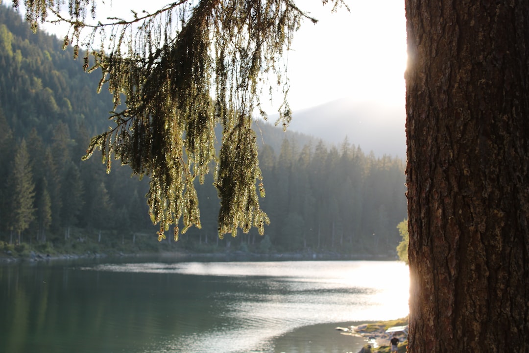 Lake photo spot Caumasee Glarus