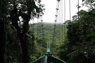 people walking on hanging bridge