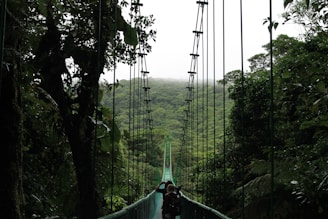 people walking on hanging bridge