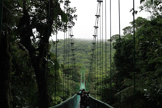 people walking on hanging bridge