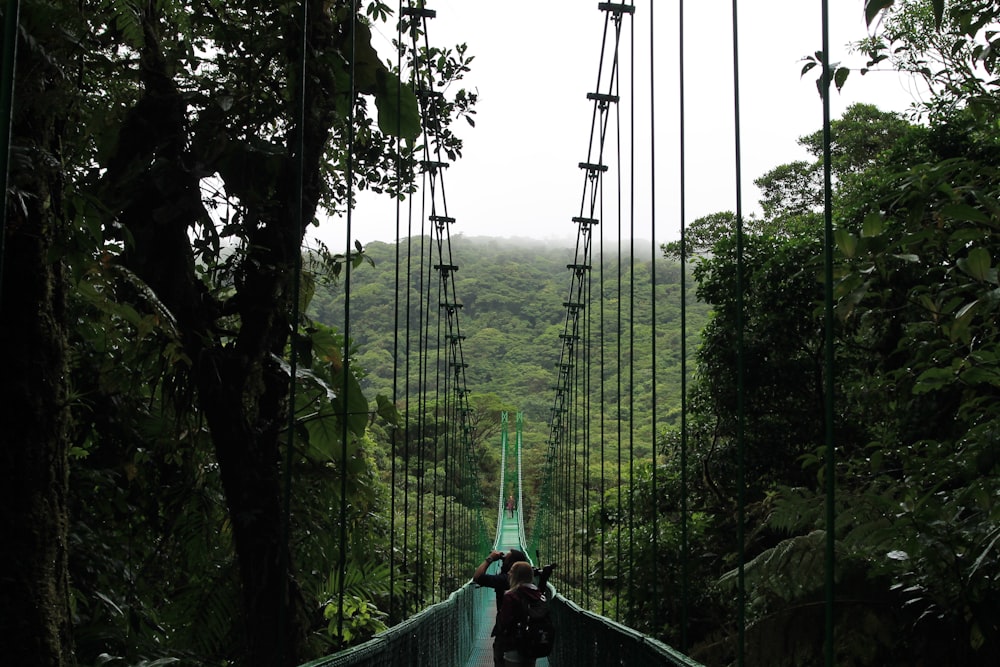 people walking on hanging bridge