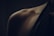 A close-up image focusing on the curve of an upper shoulder and collarbone area, set against a dark, shadowy background. The skin appears smooth, with subtle highlights emphasizing the natural contour.