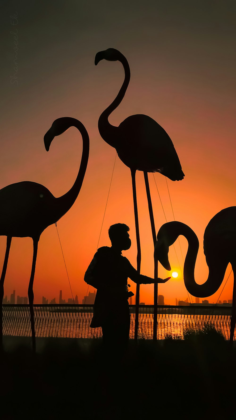 silhouette of 2 men standing on a beach with two flamingos