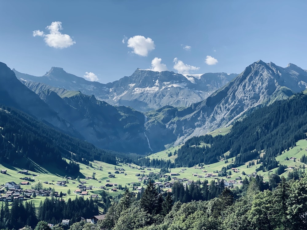 green trees on mountain under blue sky during daytime