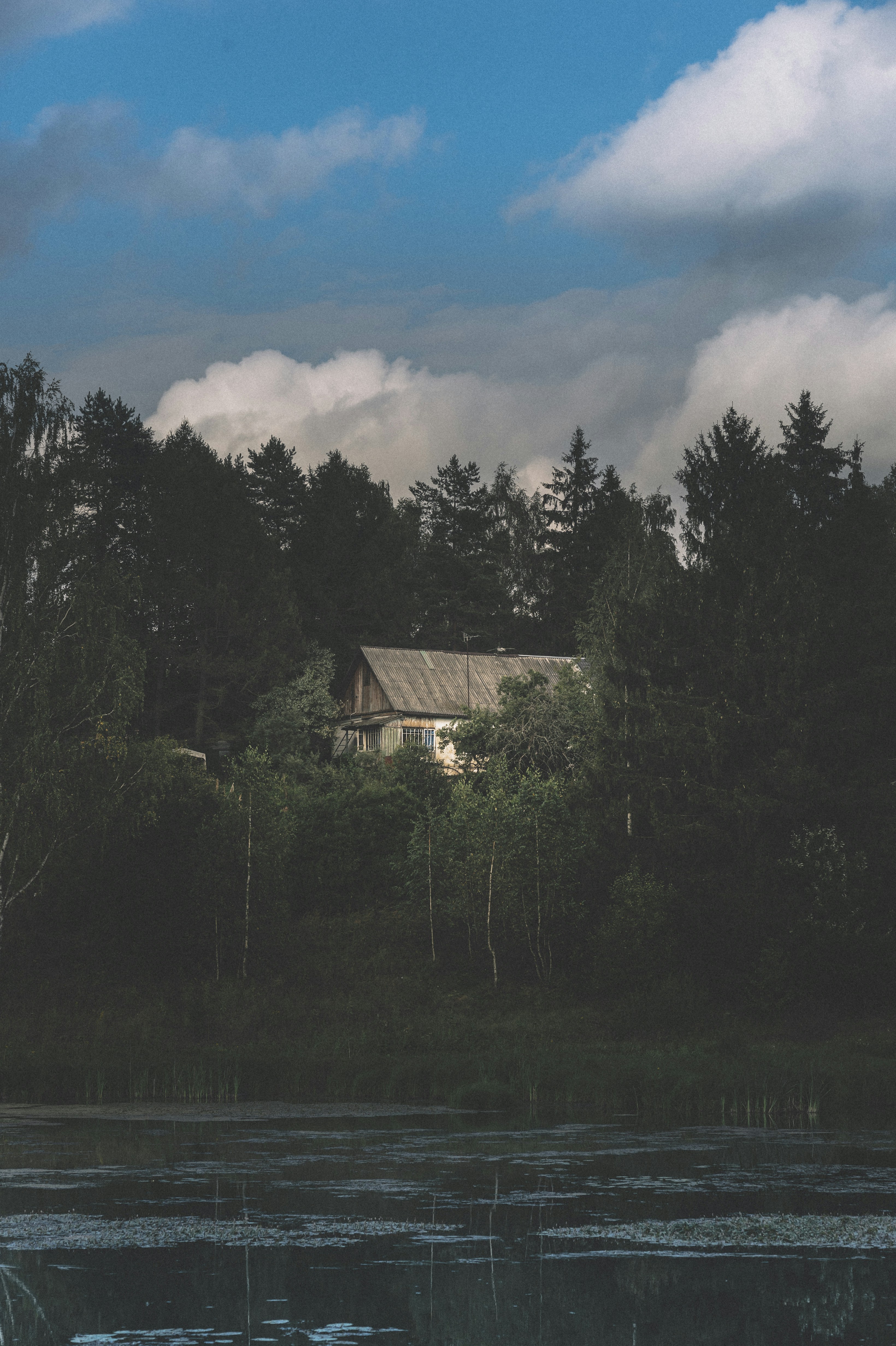 Photo by vonshnauzer