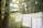 Clothing and linens hang on a clothesline in a serene, natural setting. Tall trees and dense foliage create a green, leafy background with sunlight filtering through the branches.