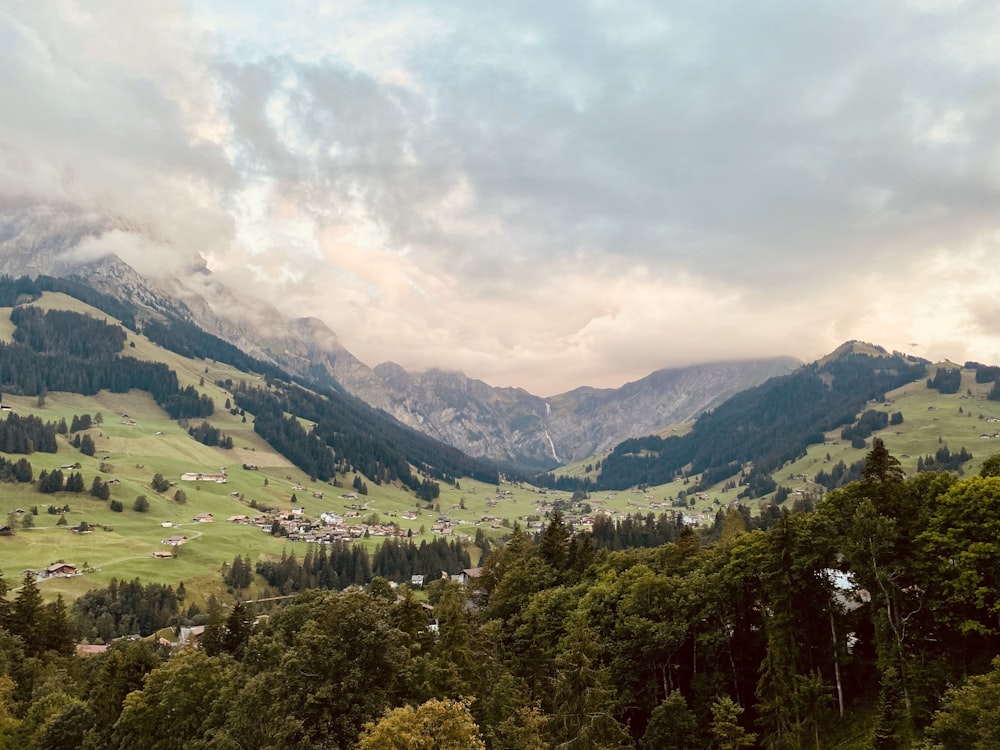 green trees on mountain under cloudy sky during daytime