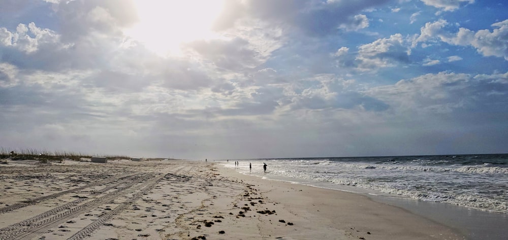 personnes marchant sur la plage pendant la journée