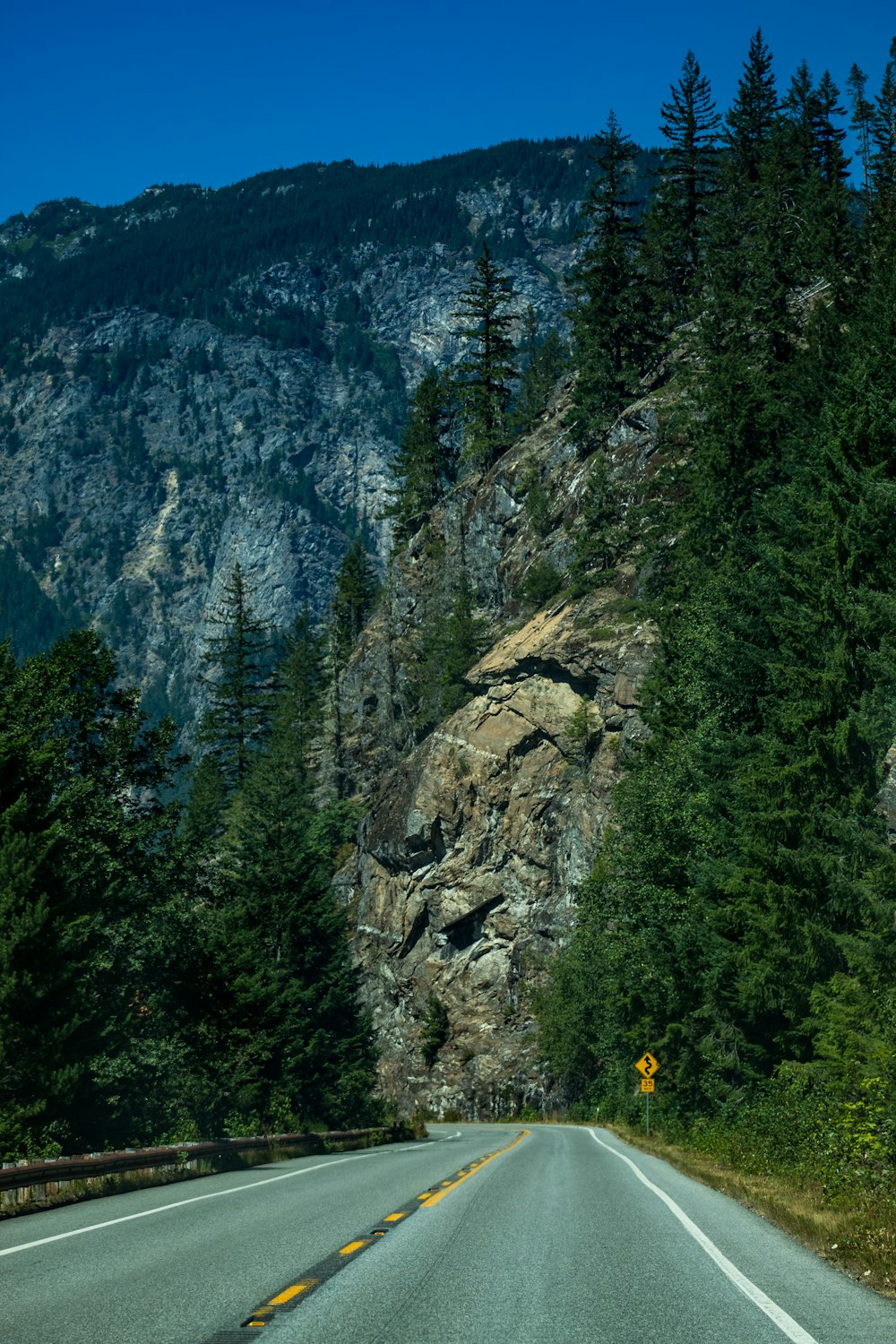 Alberi verdi sulla montagna rocciosa durante il giorno