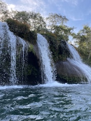 An image of a serene water source surrounded by lush greenery and a blue sky.