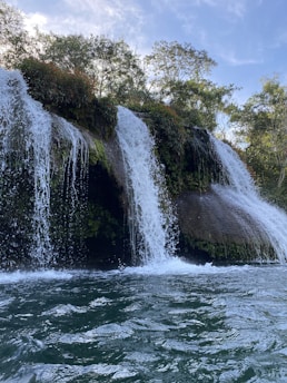 An image of a serene water source surrounded by lush greenery and a blue sky.
