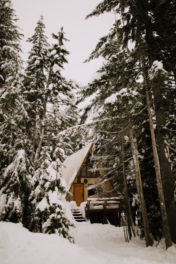 The snowy cabin 