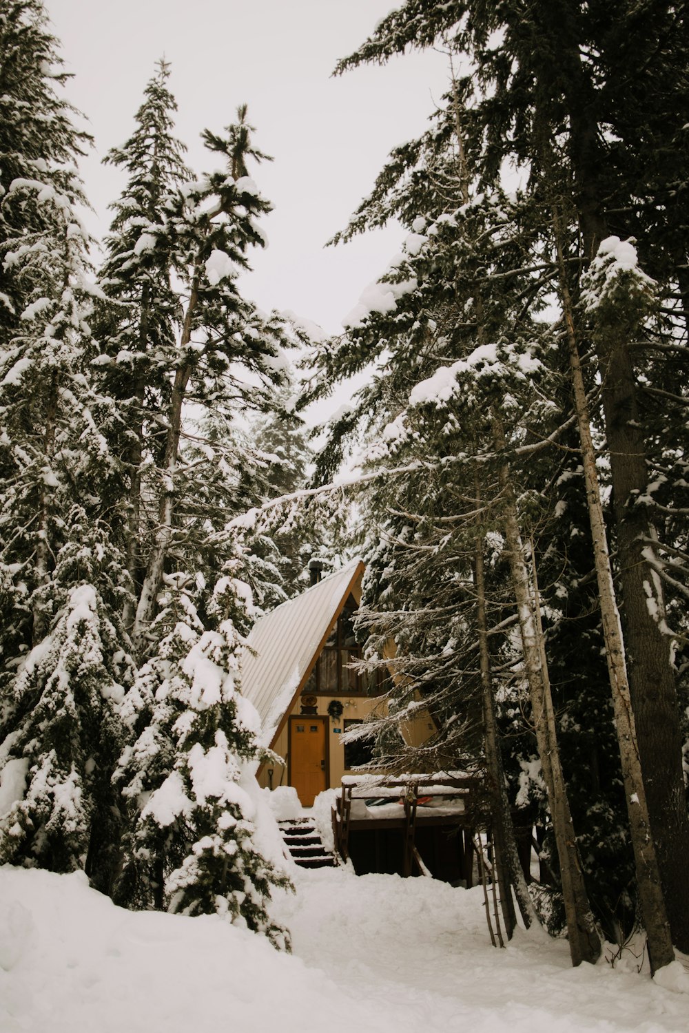 brown wooden house in the middle of snow covered trees