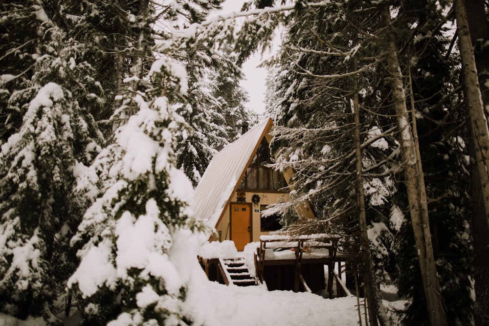 casa di legno marrone coperta di neve vicino agli alberi durante il giorno