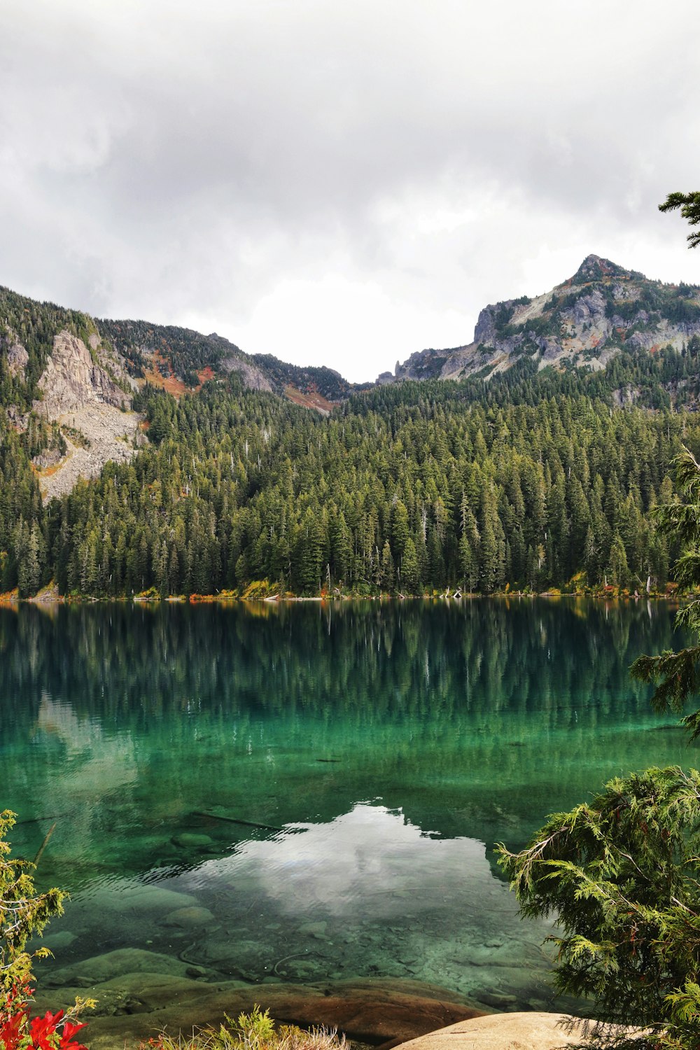 green trees near lake and mountain during daytime