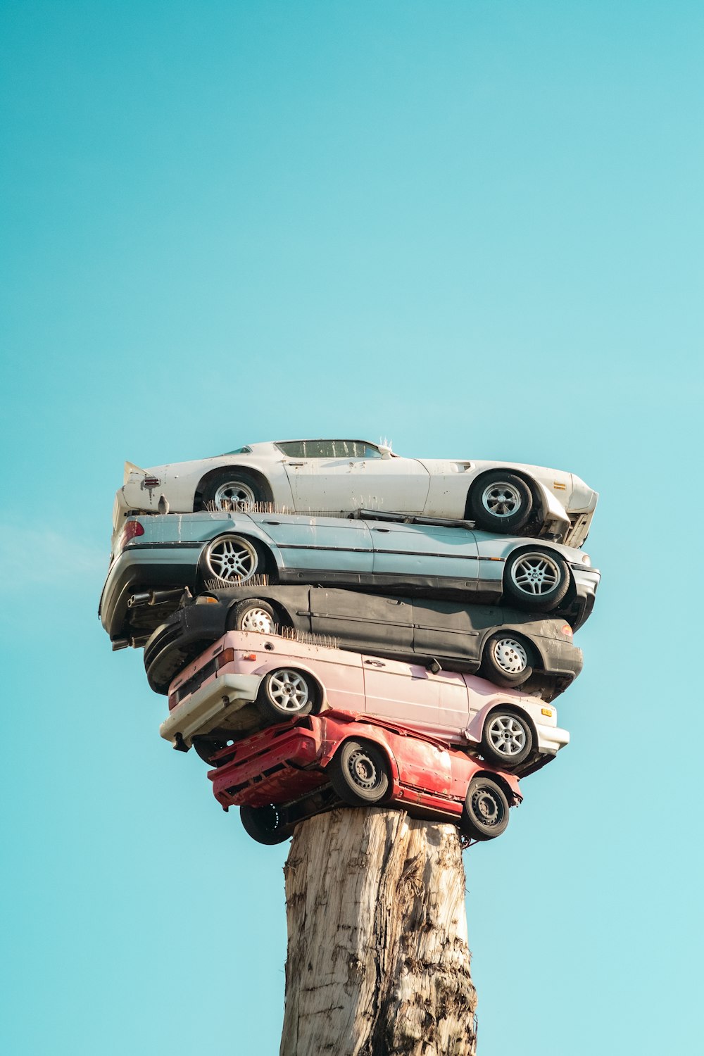 gray and red car on brown wooden log