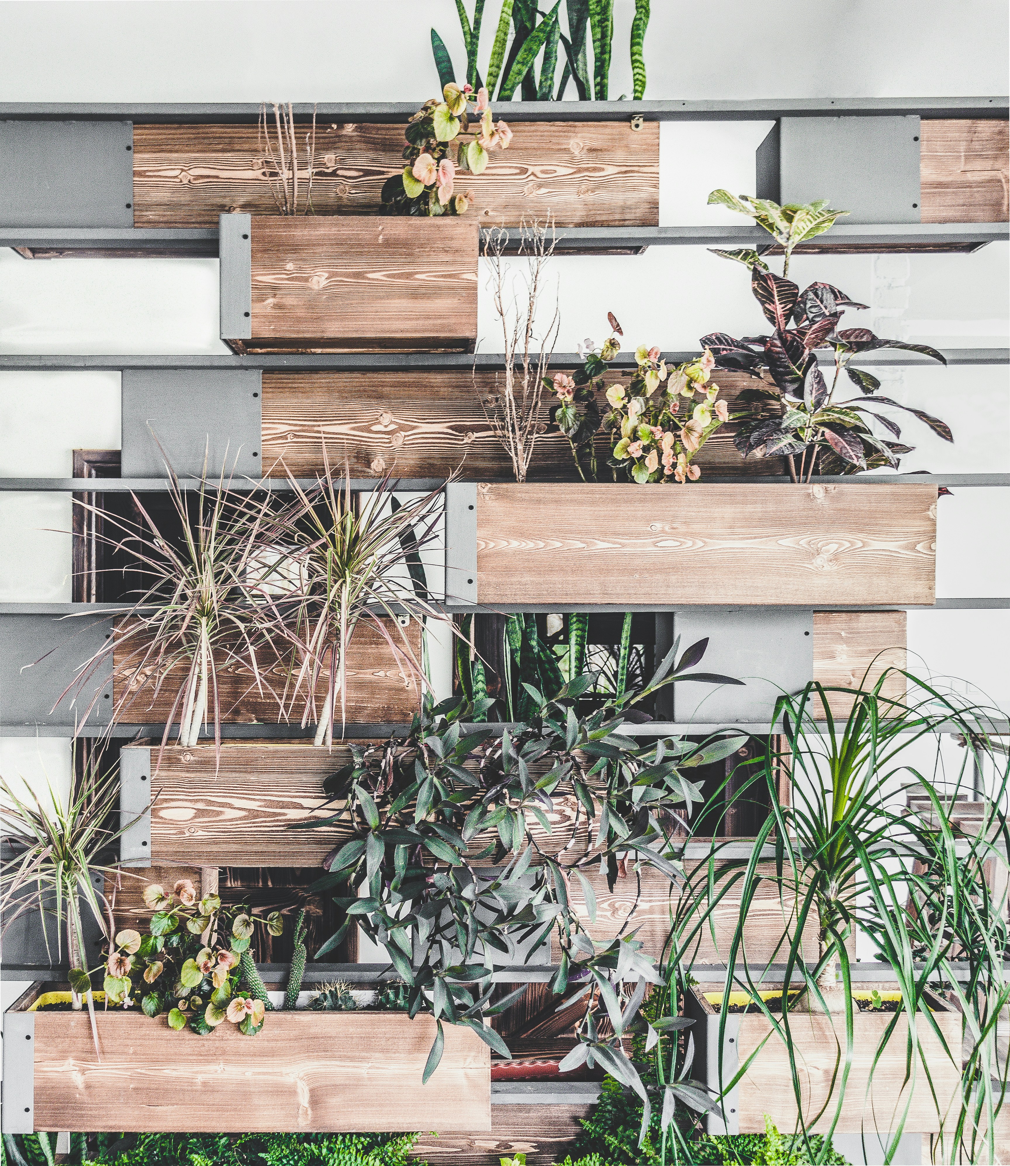 Photo by behy_studio