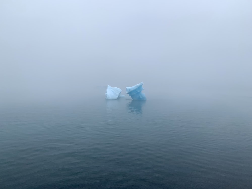 white plastic bag on body of water