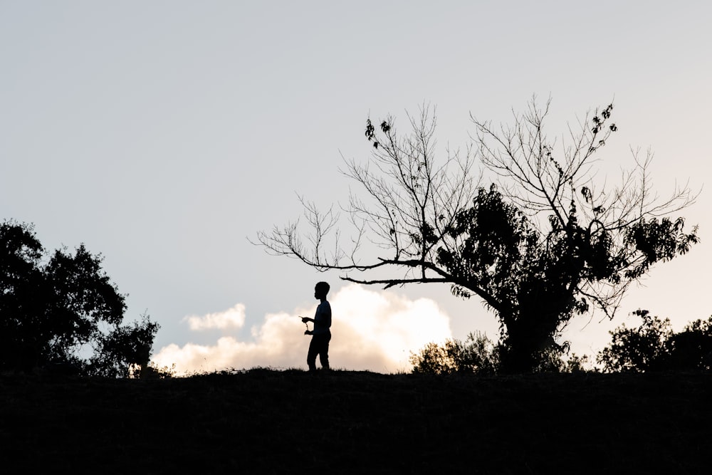 silhouette of man standing on grass field during sunset