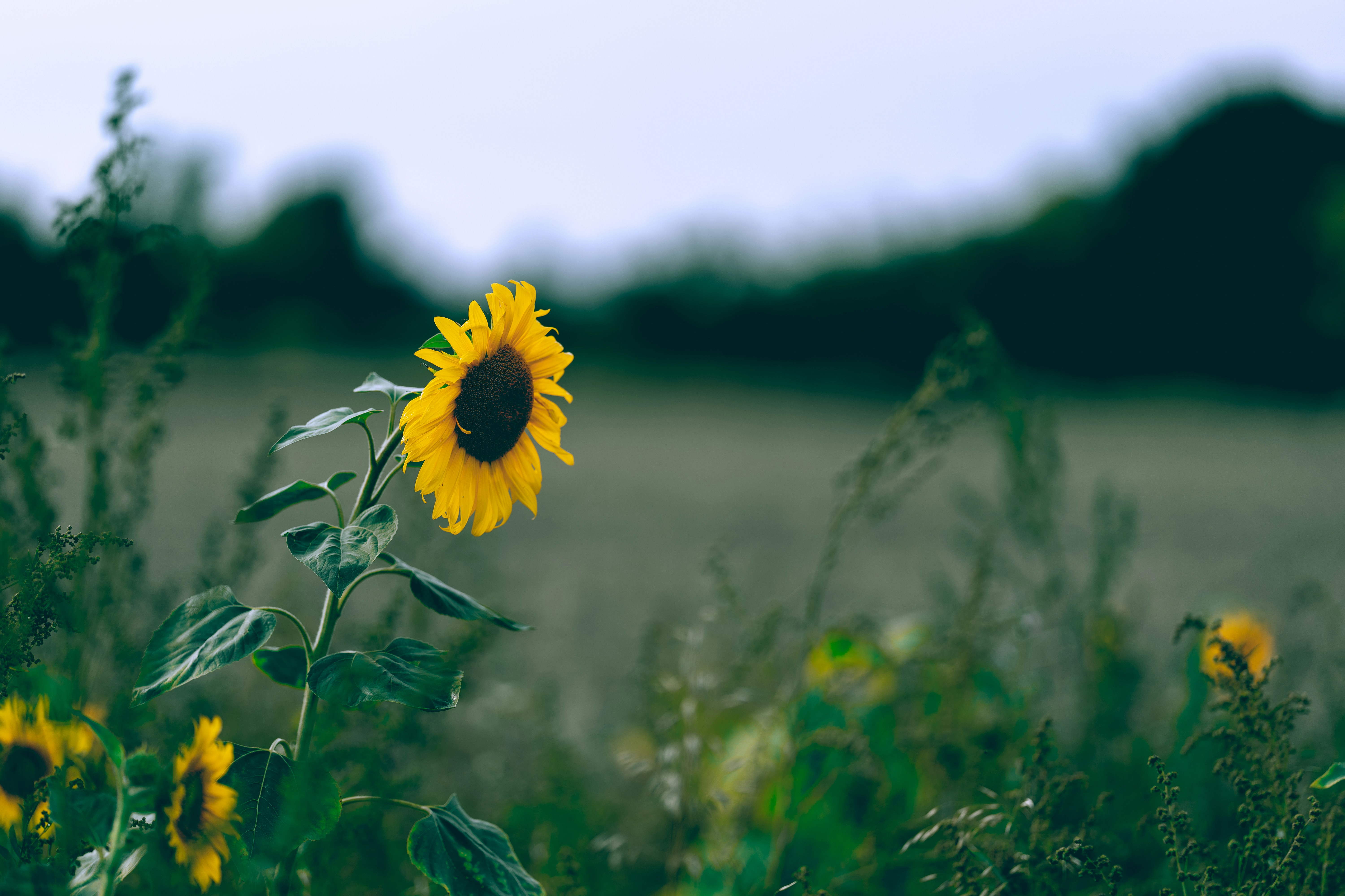 Photo by omarvellous14