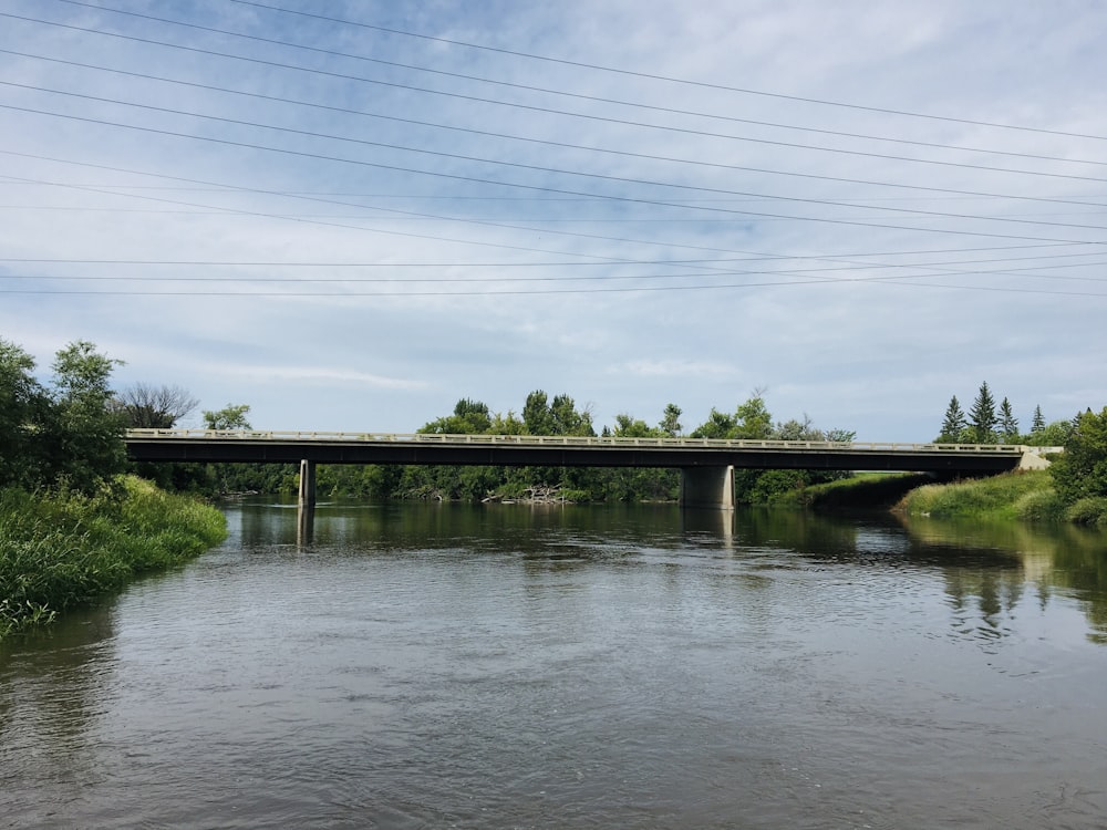 green trees beside river under blue sky during daytime