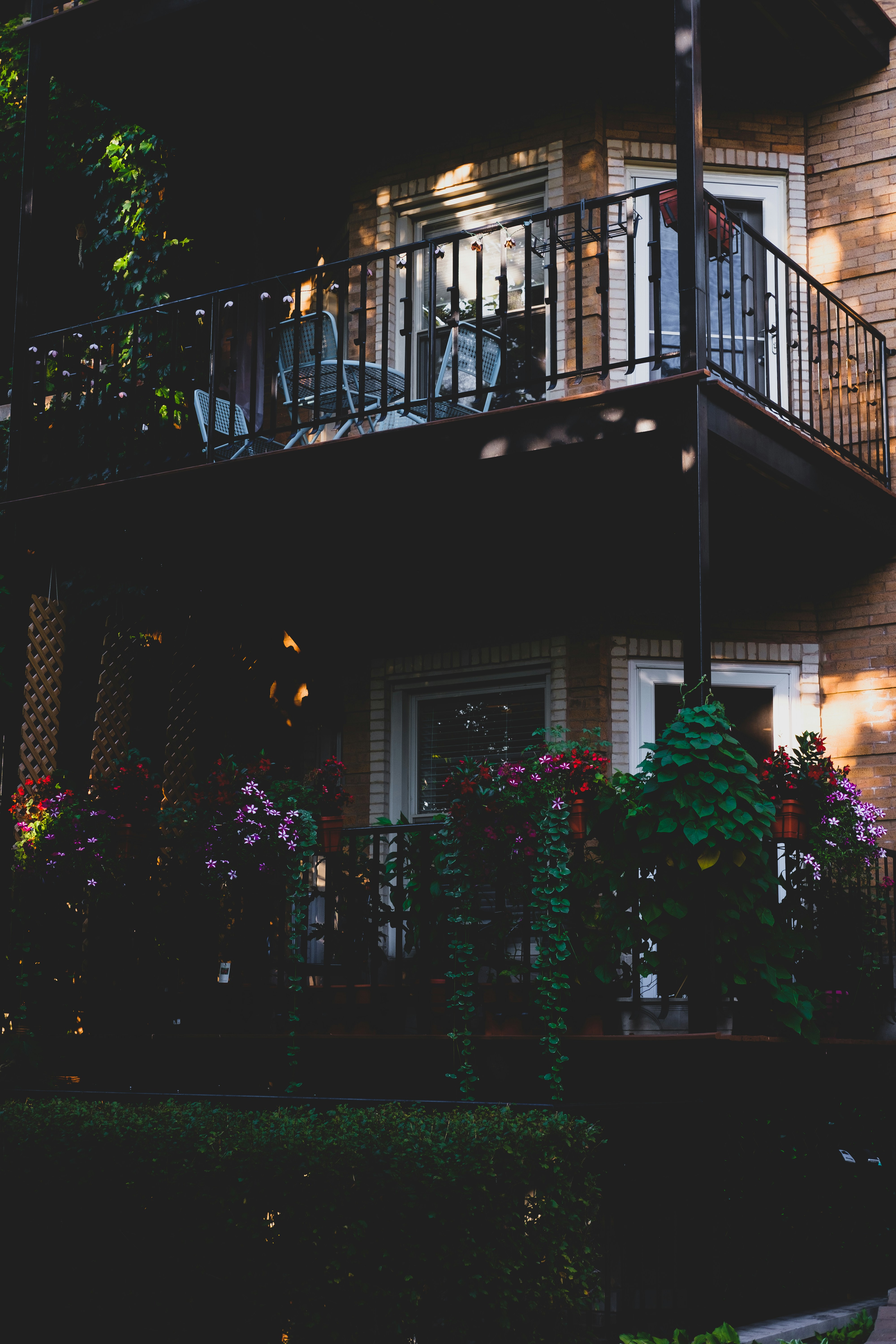 Photo by goodbetterbetts